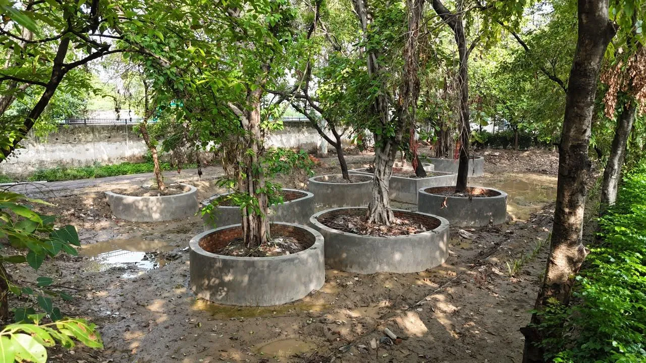 Residential Garden Design